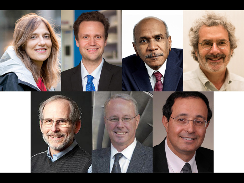 NATIONAL ACADEMY OF ENGINEERING MEMBERS visual data 3